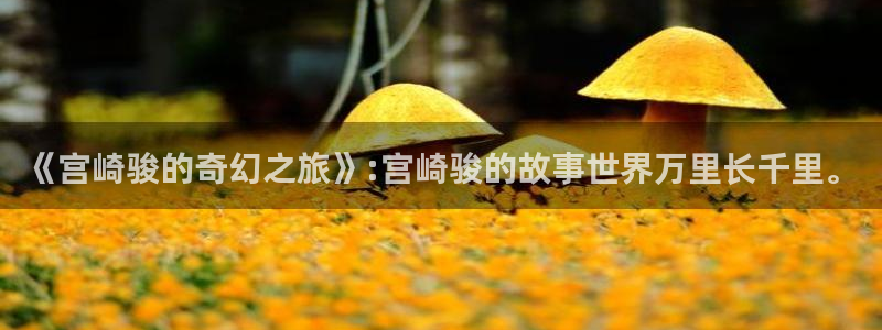 行业资讯